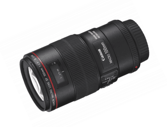 Canon EF100mm F2.8Lマクロ IS USM